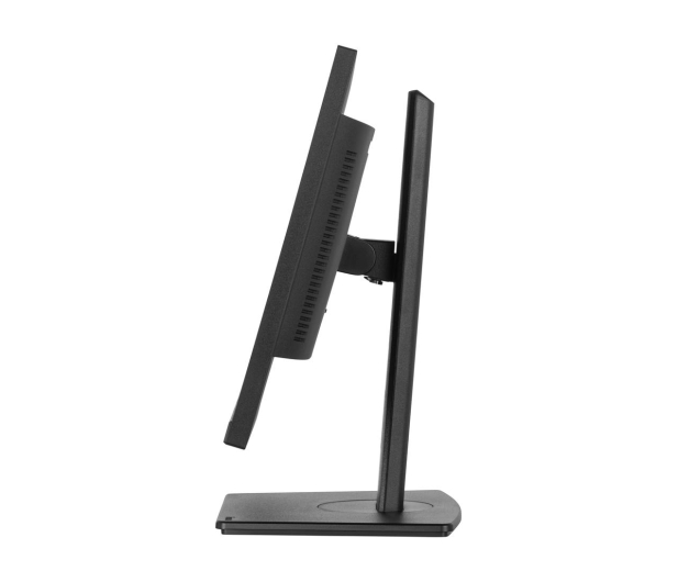 iiyama ProLite XUB2497HSN-B2 - 1284776 - zdjęcie 5